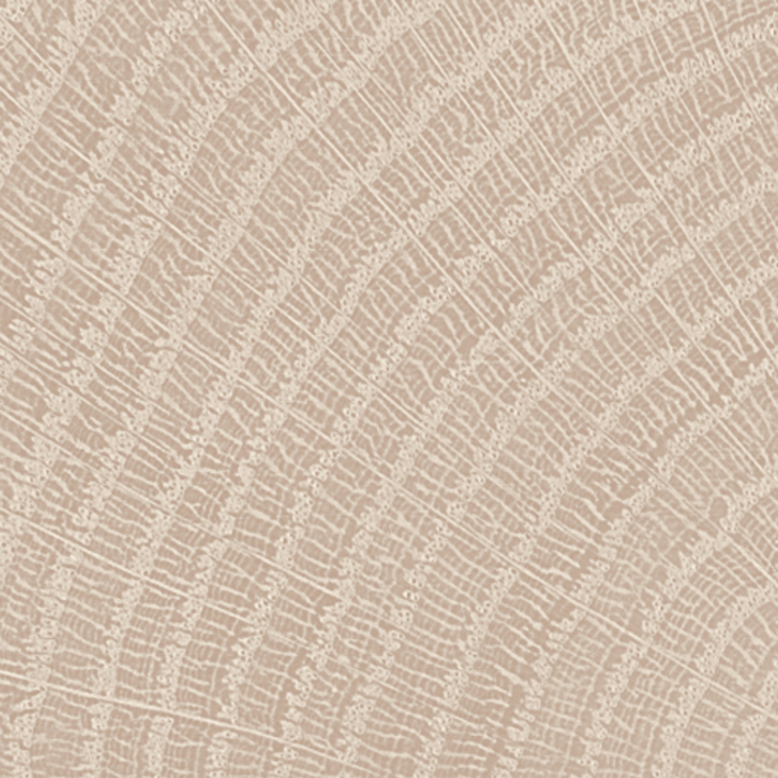 Obrzeże ABS z efektem rdzenia Q1176 RO Dąb Halifax Biały Egger